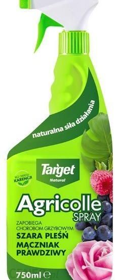 Agricolle Spray na choroby grzybowe 750 ml TARGET