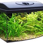Akwarium 25l profil+pokrywa+WYPOS+GRATISY