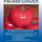 Alseed Pomidor Zersy F1 Malinowy Nasiona Holenderskie