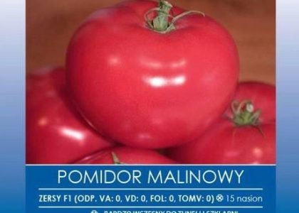 Alseed Pomidor Zersy F1 Malinowy Nasiona Holenderskie