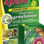 Amistar 250 Sc Środek Grzybobójczy 5Ml Agrecol R