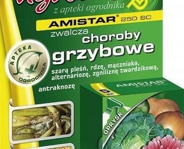 Amistar 250 Sc Środek Grzybobójczy 5Ml Agrecol R