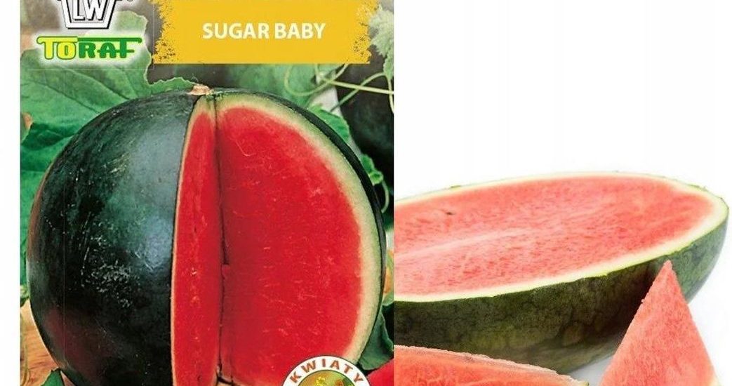Arbuz kawon Sugar Baby nasiona 1g Toraf