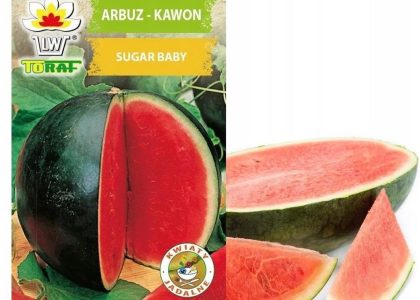 Arbuz kawon Sugar Baby nasiona 1g Toraf
