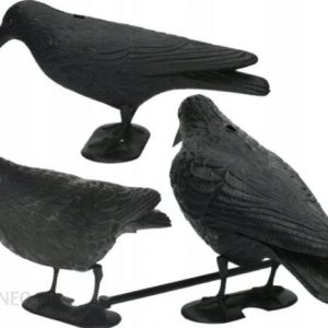 Bardzo Duży Kruk Odstraszacz Ptaków Gołębi Szpaków