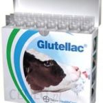 Bayer glutellac 3x8x50ml