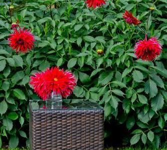 Bello Giardino SM.002.001 STOLIK
