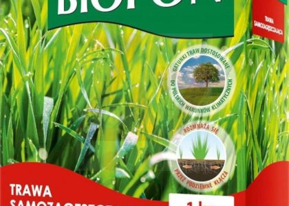 BIOPON TRAWA SAMOZAGĘSZCZAJĄCA KWALIFIKOWANA 1KG