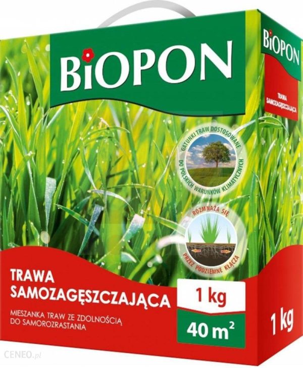 BIOPON TRAWA SAMOZAGĘSZCZAJĄCA KWALIFIKOWANA 1KG