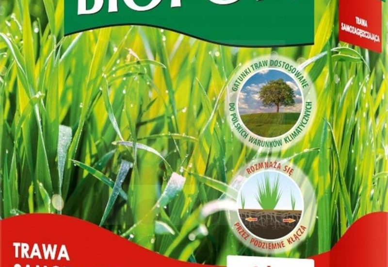 BIOPON TRAWA SAMOZAGĘSZCZAJĄCA KWALIFIKOWANA 1KG