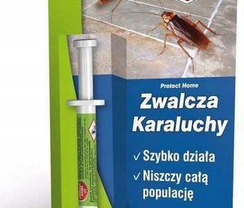 Blattanex Zwalcza Karaluchy I Prusaki 5G Żel