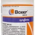 Boxer 800 EC 1l