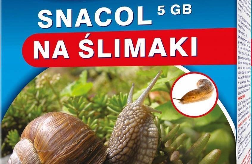 Bros Snacol 5Gb Środek Trutka Na Ślimaki 1kg