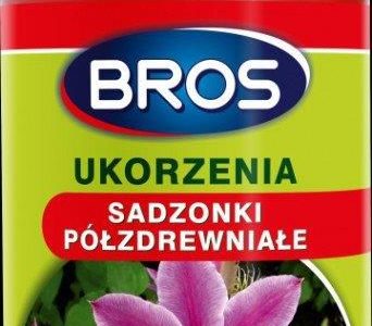 Bros Ukorzeniacz Do Sadzonek Półzdreweniałych