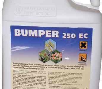 Bumper 250 EC 5L