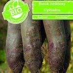 Burak ćwikłowy Cylindra 10g – 100% Bio