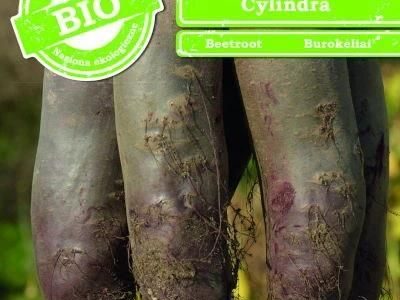 Burak ćwikłowy Cylindra 10g – 100% Bio