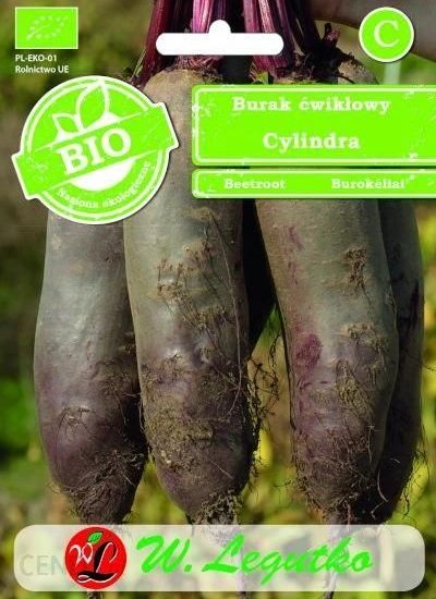 Burak ćwikłowy Cylindra 10g – 100% Bio