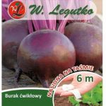 Burak Ćwikłowy Czerwona Kula 2 Nasiona Na Taśmie 6m W. Legutko
