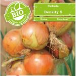 Cebula Density 5 Łuska Żółta Późna 2G