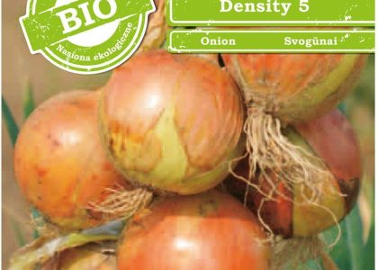 Cebula Density 5 Łuska Żółta Późna 2G