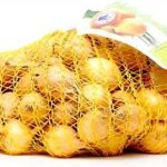 Cebula Dymka Ozima Senshyu Yellow 500g