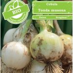 Cebula Nasiona Bio Tonda Musona W. Legutko