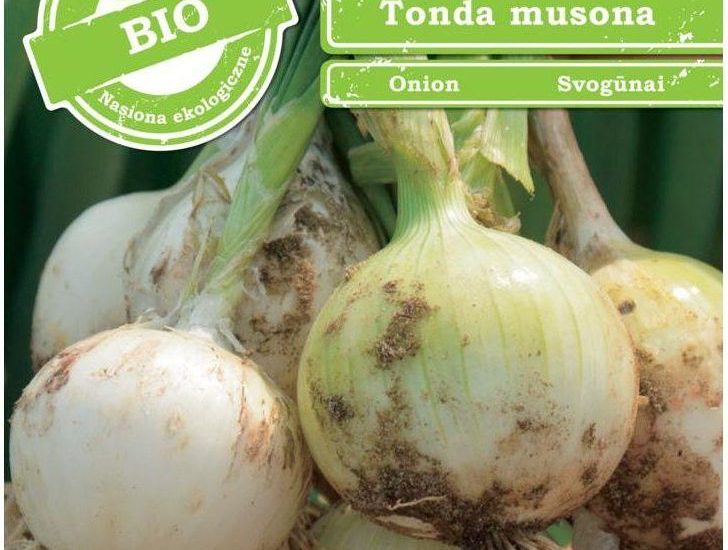 Cebula Nasiona Bio Tonda Musona W. Legutko