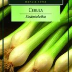 Cebula Siedmiolatka 2g