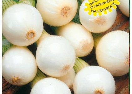Cebula Zimująca