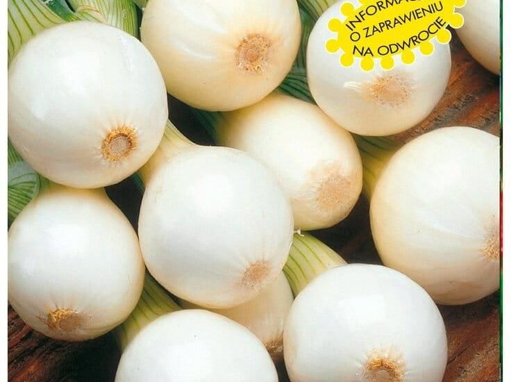 Cebula Zimująca