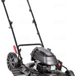 Cedrus Cedks51P