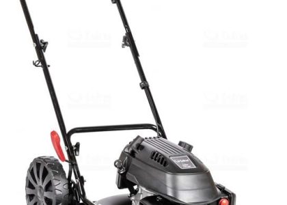 Cedrus Cedks51P