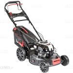 Cedrus Cedks53S-B