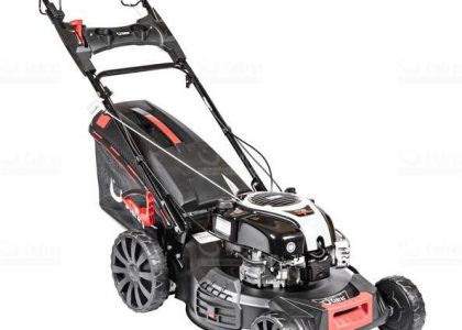 Cedrus Cedks53S-B