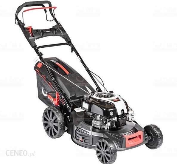 Cedrus Cedks53S-B