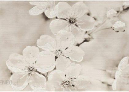 Cersanit Płytka Ścienna Gryfin Light Grey Flower 25X40 Gat.2