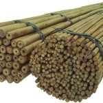 DIXIESTORE TYCZKI BAMBUSOWE 150 CM 14/16 MM /100 SZT, BAMBUS 79