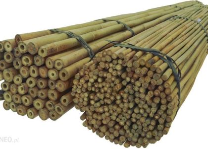 DIXIESTORE TYCZKI BAMBUSOWE 150 CM 14/16 MM /100 SZT, BAMBUS 79