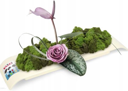 Doniczka Osłonka Ikebana Kompozycja Kremowa