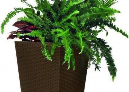 Doniczka Rattan Rozmiar M