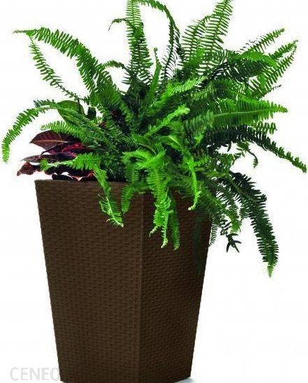 Doniczka Rattan Rozmiar M