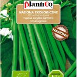 Fasola Zielona Bio