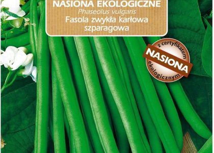 Fasola Zielona Bio
