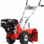 Faworyt NGT48-196L