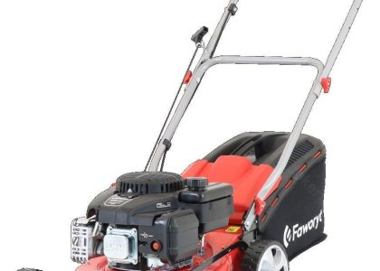 Faworyt SH41P123L