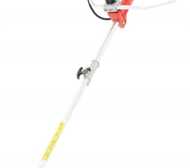 Faworyt TMK52AV
