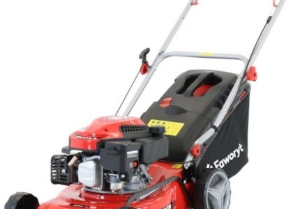 Faworyt WA41P127R
