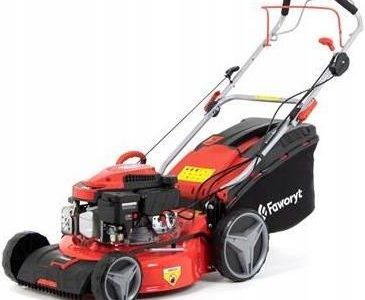 Faworyt WB46N170
