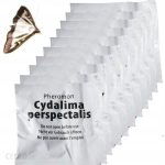 Feromony Wabiące Ćmę Bukszpanową Do Pułapek 10szt.